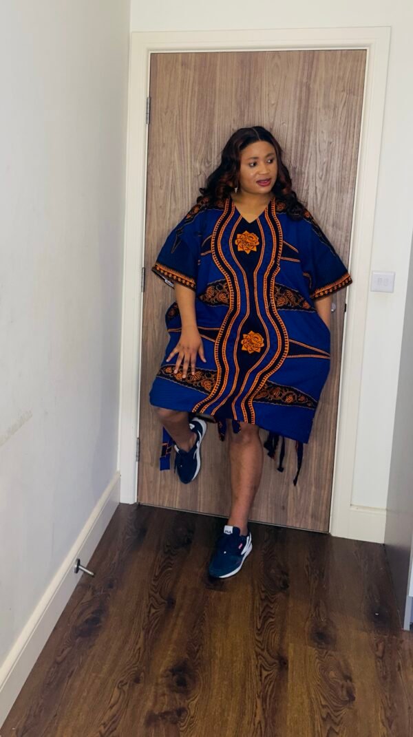 arike dress short dress