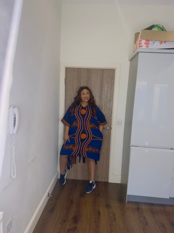 arike dress short dress