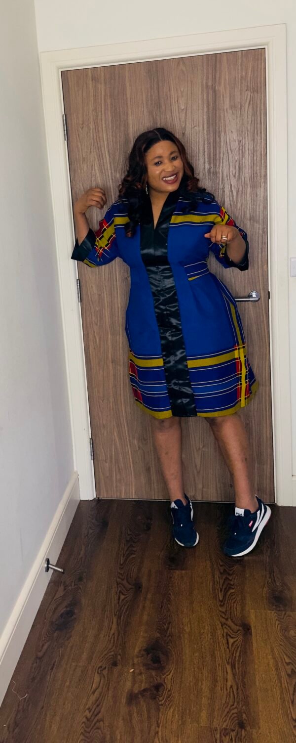 arike dress short dress