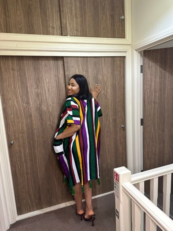 arike dress short dress