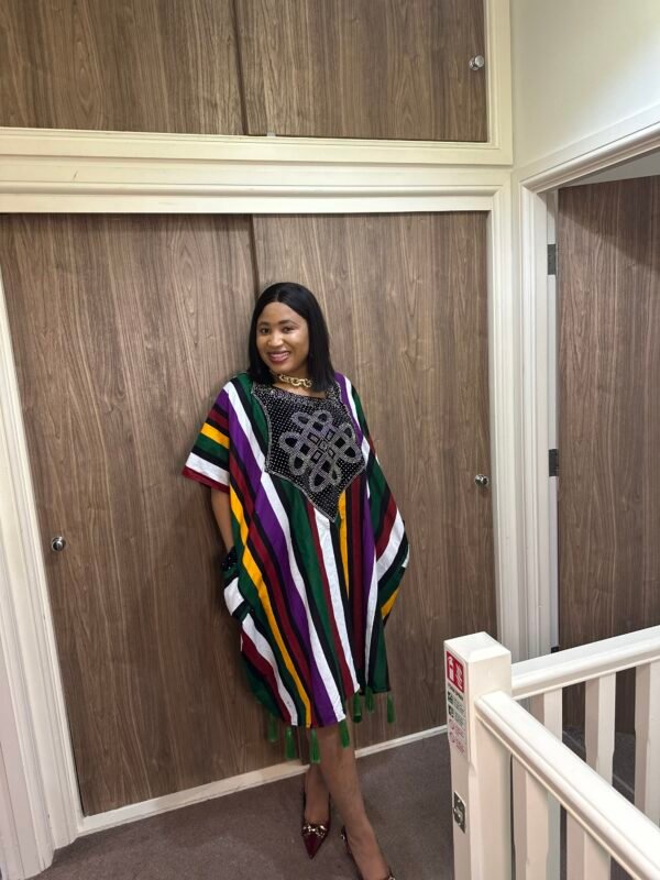 arike dress short dress