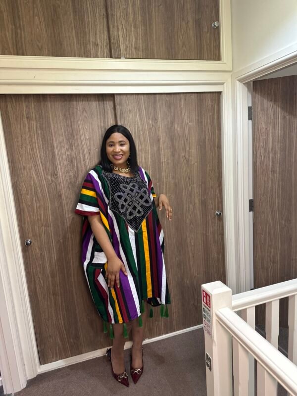 arike dress short dress