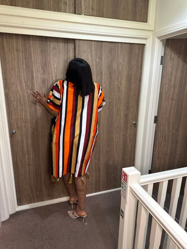 arike dress short dress copy